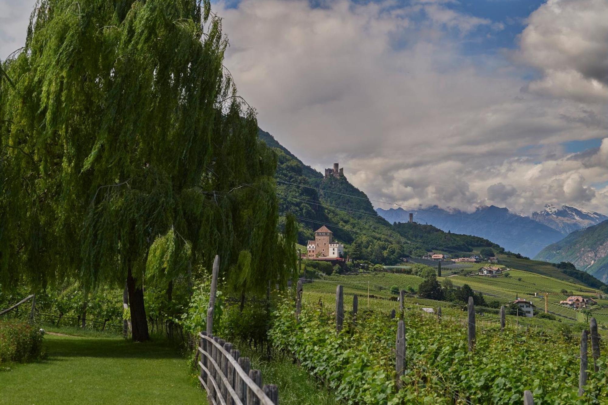 Ferienwohnung Weingut Stuck Eppan an der Weinstraße Exterior foto