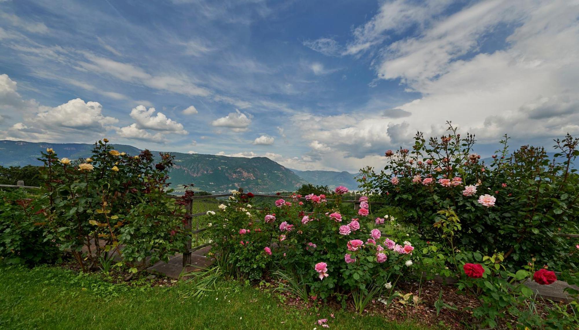 Ferienwohnung Weingut Stuck Eppan an der Weinstraße Exterior foto