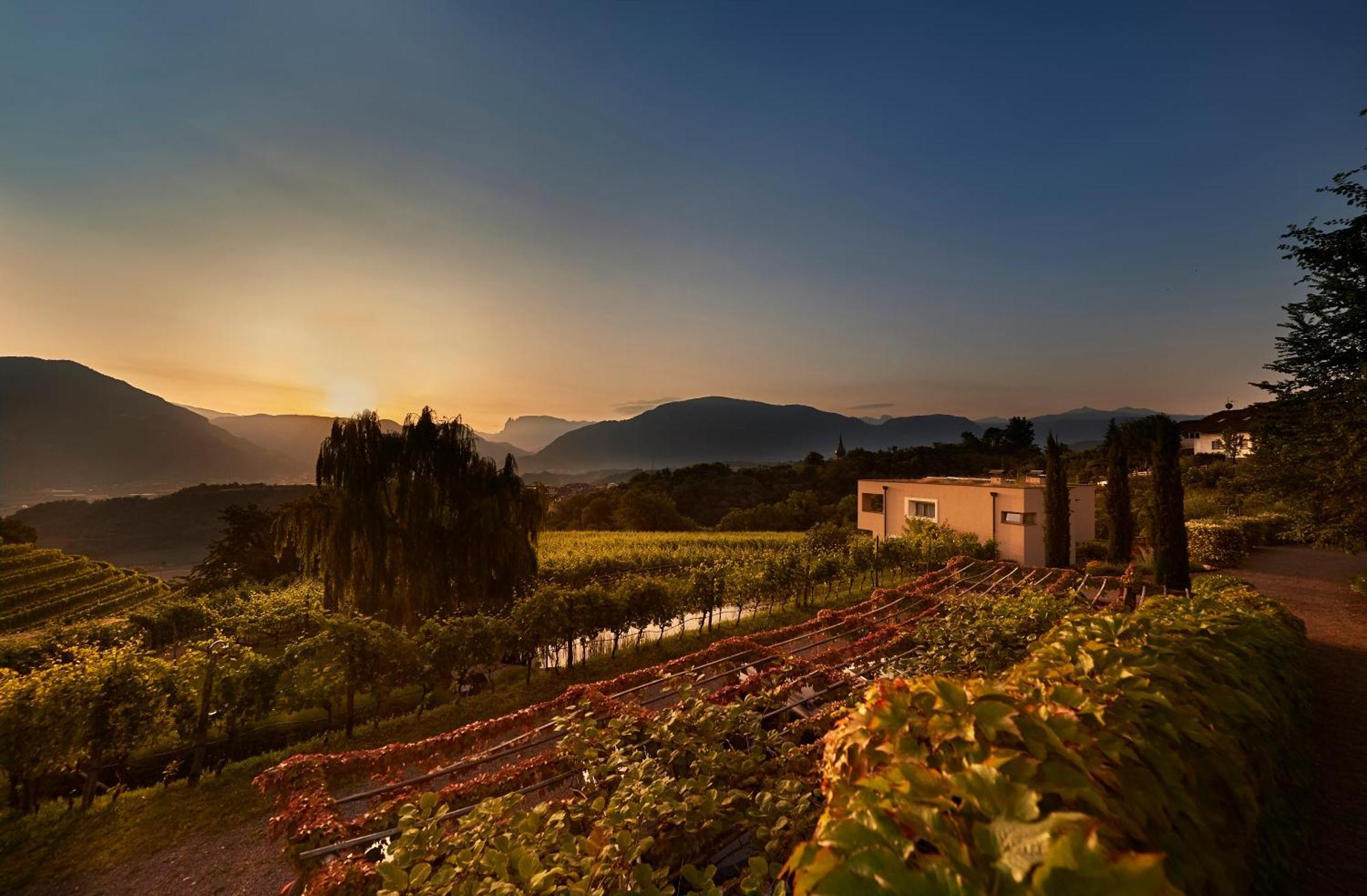 Ferienwohnung Weingut Stuck Eppan an der Weinstraße Exterior foto